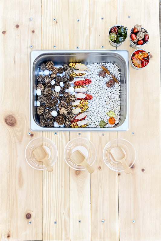 Fall and Thanksgiving Sensory Bin