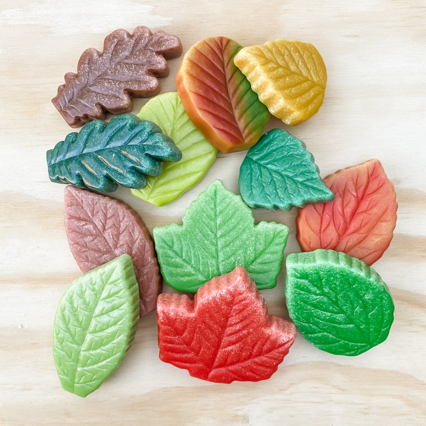 Leaf Sensory Stones