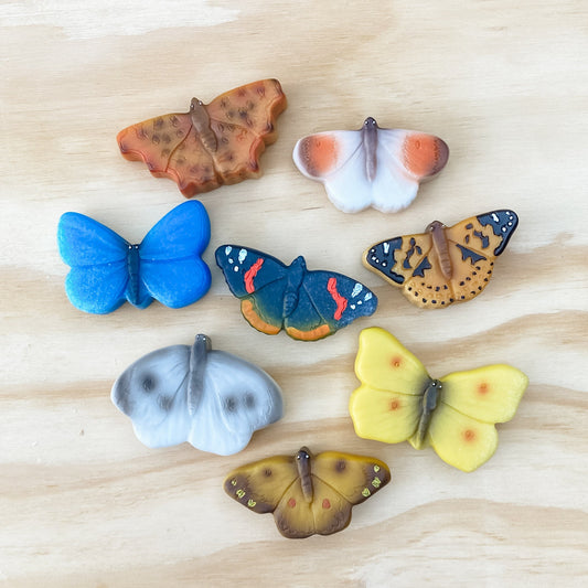 Butterfly Sensory Stones